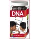 Конструктор Zometool DNA (молекула ДНК)
