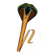 Детский воздушный змей Кобра (Cobra)