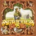 Agricola 15th Anniversary Box EN (Агрікола 15 Ювілейне видання)