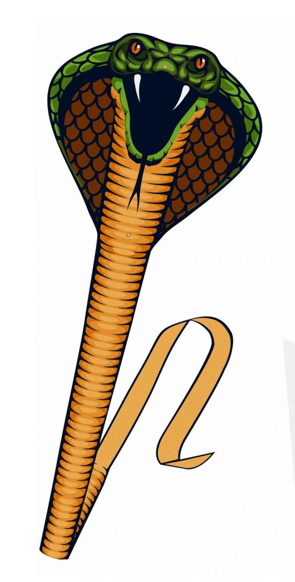 Детский воздушный змей с изображением змеи - картинка