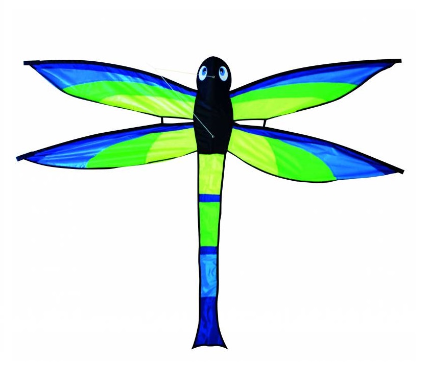 воздушный змей с изображением стрекозы - фото